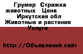 Грумер- Стрижка животных › Цена ­ 700 - Иркутская обл. Животные и растения » Услуги   